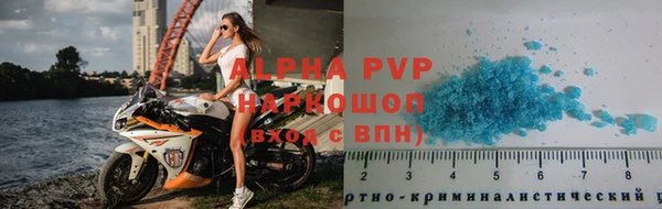 apvp Инсар