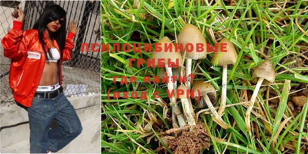 мяу мяу кристалл Няндома