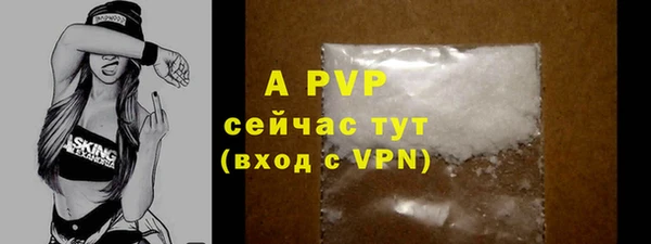 apvp Инсар