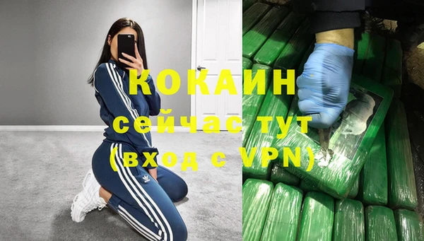 мяу мяу кристалл Няндома