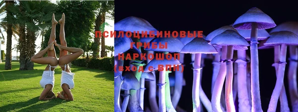 первитин Володарск