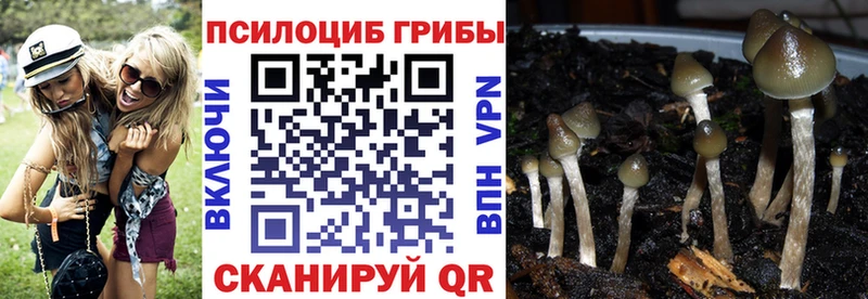 Галлюциногенные грибы GOLDEN TEACHER  Курильск 